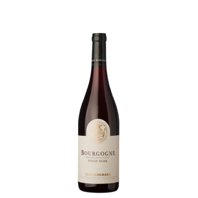 Bourgogne Pinot Noir Jean Bouchard - Red