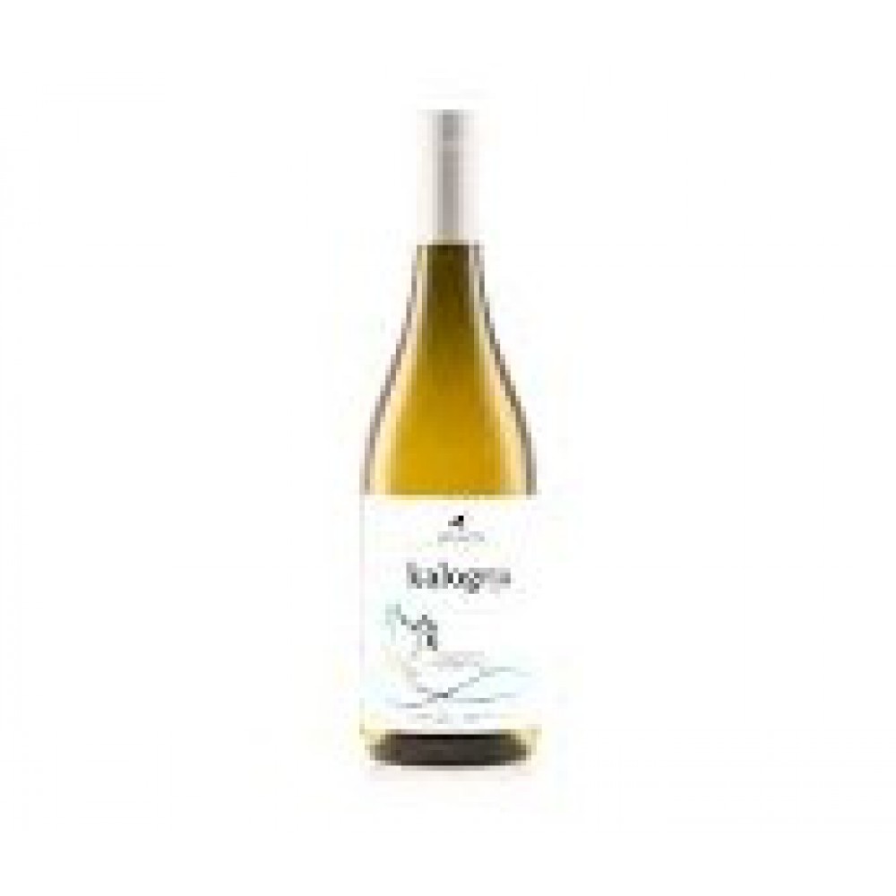 Koukos Kalogria Assyrtiko